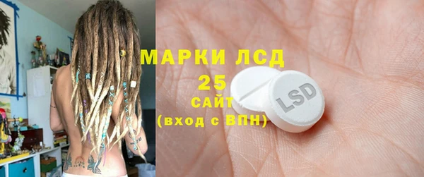 хмурый Алексин