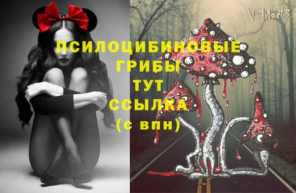 хмурый Алексин