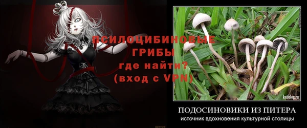 ешки Алзамай