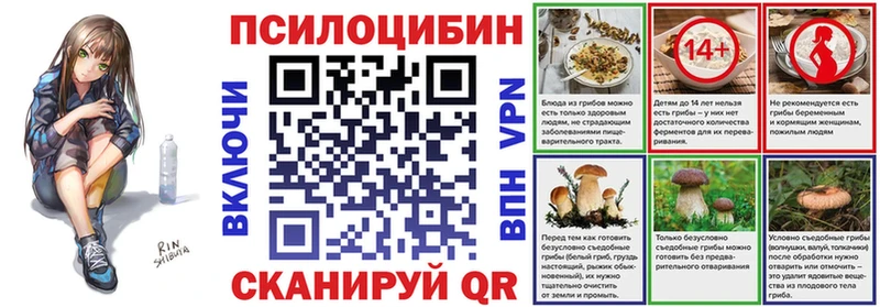Псилоцибиновые грибы Psilocybine cubensis  Купить закладки  Балашиха 